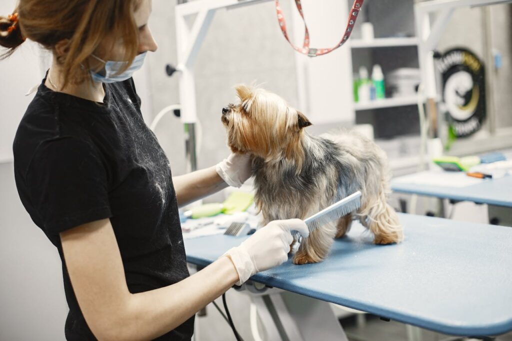 Pet Grooming Loyalty Programs