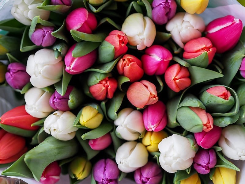 Ten Ideas to Attract New Customers in Your Flower Shop